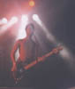 stevelights_gb