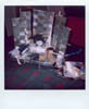 polaroid4